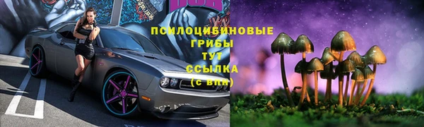ПСИЛОЦИБИНОВЫЕ ГРИБЫ Абаза