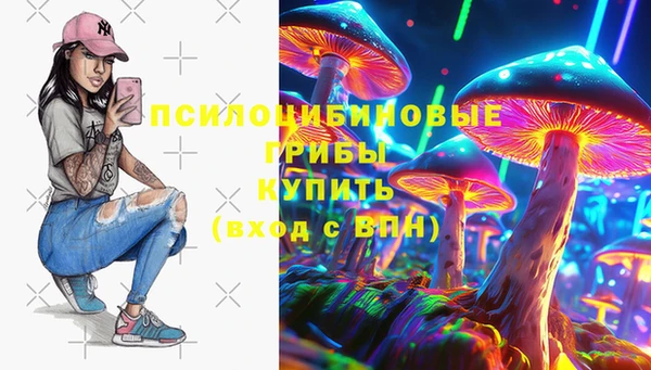 ПСИЛОЦИБИНОВЫЕ ГРИБЫ Абаза