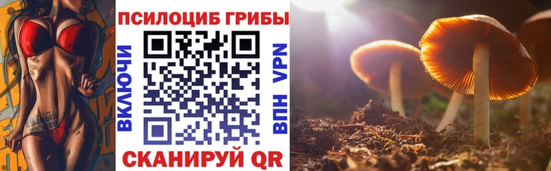 Псилоцибиновые грибы Magic Shrooms  Кяхта 